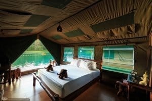 Unique accommodation in Khao Sok - private room with ensuite overlooking Cheow Larn Lake - Rainforest Camp, Khao Sok